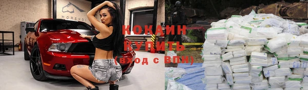 прущие крисы Гусев