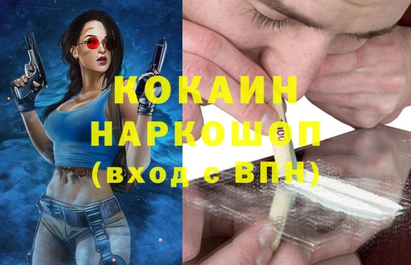 сатива Гусиноозёрск