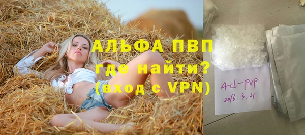 сатива Гусиноозёрск