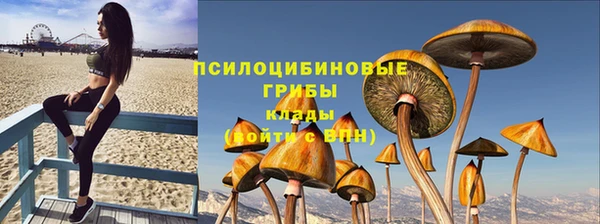 прущие крисы Гусев