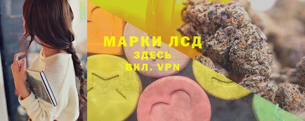 сатива Гусиноозёрск