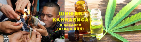 сатива Гусиноозёрск